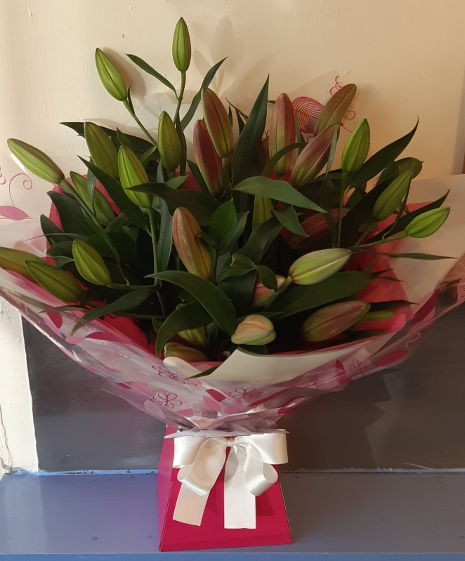 Lily Aqua Handtied