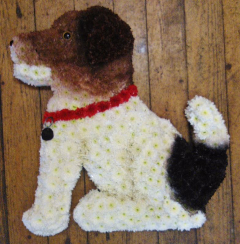 Sat Down Dog Tribute