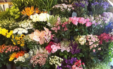 Weekly Flowers for 1 Month