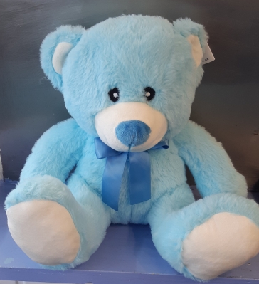 Baby Boy Teddy
