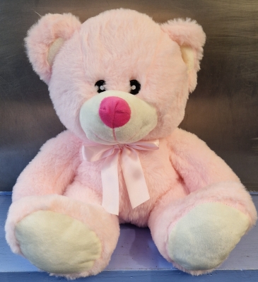 Baby Girl Teddy