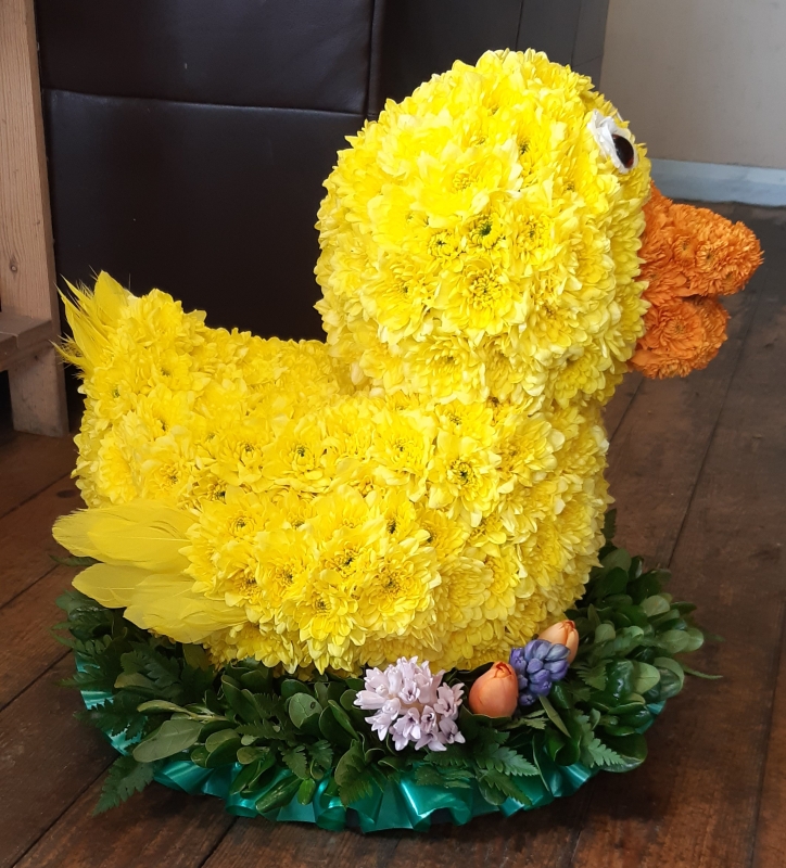3D Duck