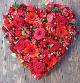 Hearts & Crosses