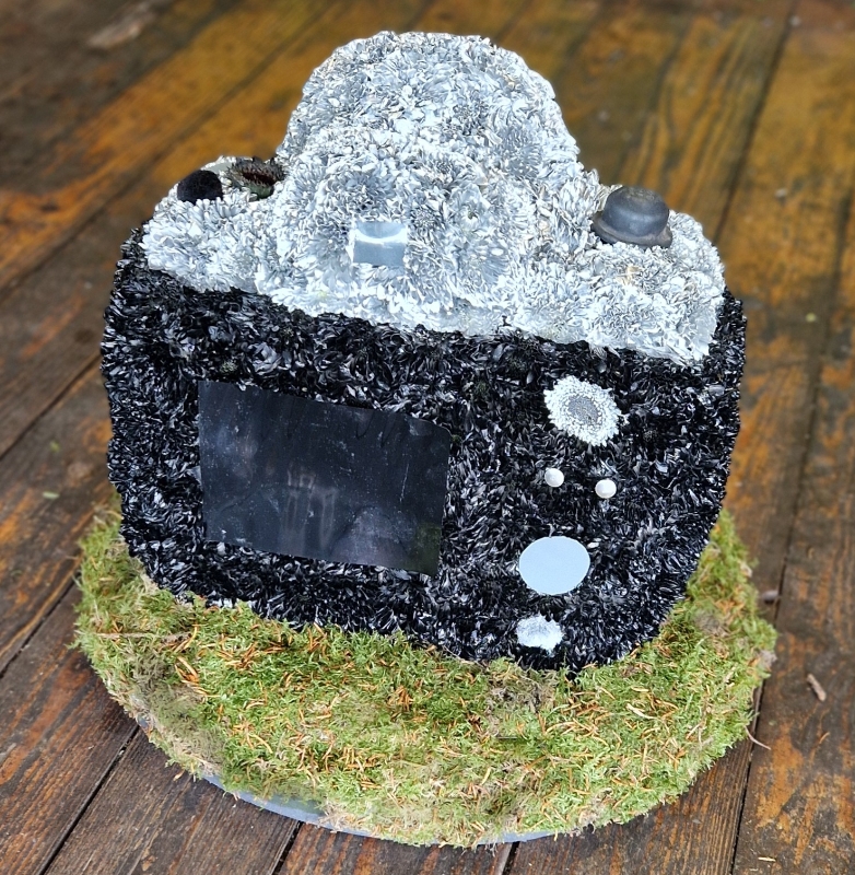 3D Camera