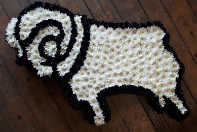 Derby County Ram