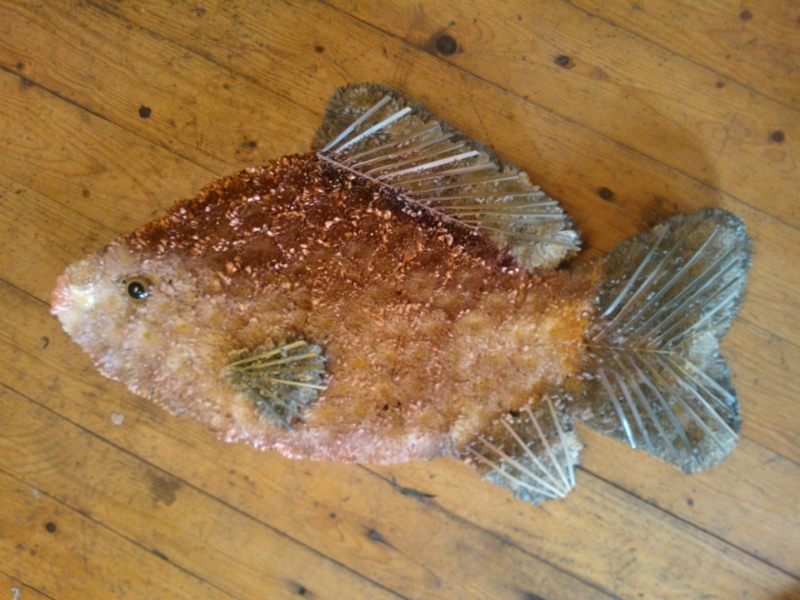Fish Tribute