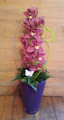 Orchid Arrangement