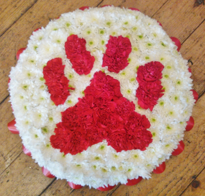 Paw Print