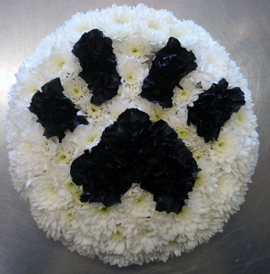 Paw Print