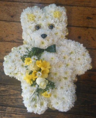 Teddy Tribute