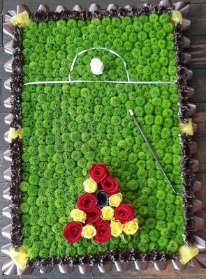 Pool or Snooker Table
