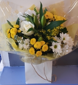 Yellow & White Aqua