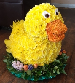 3D Duck