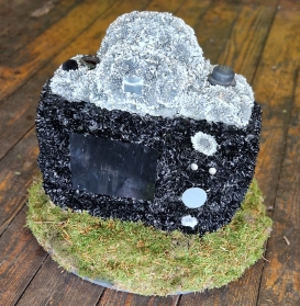3D Camera