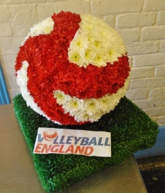 3D Volleyball