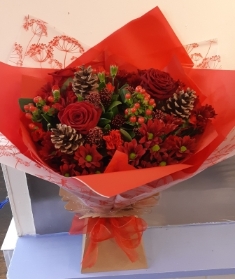 Christmas Red Aqua