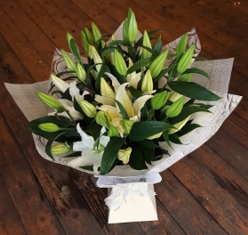 Lily Aqua Handtied