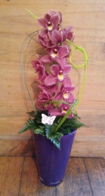 Orchid Arrangement