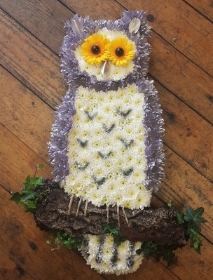 Owl