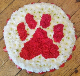 Paw Print