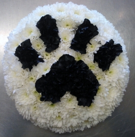 Paw Print