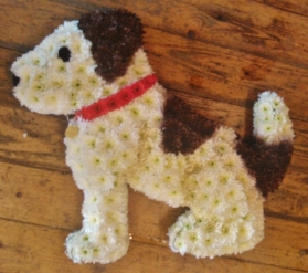 Sat Down Dog Tribute