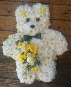 Teddy Tribute
